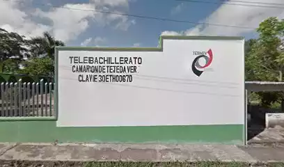 Fotografía de Camarón de Tejeda